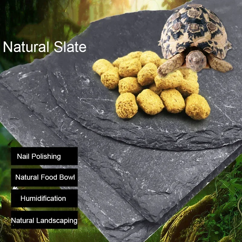 Aquarium Fish Pot - Cuenco alimentador de reptiles de pizarra
