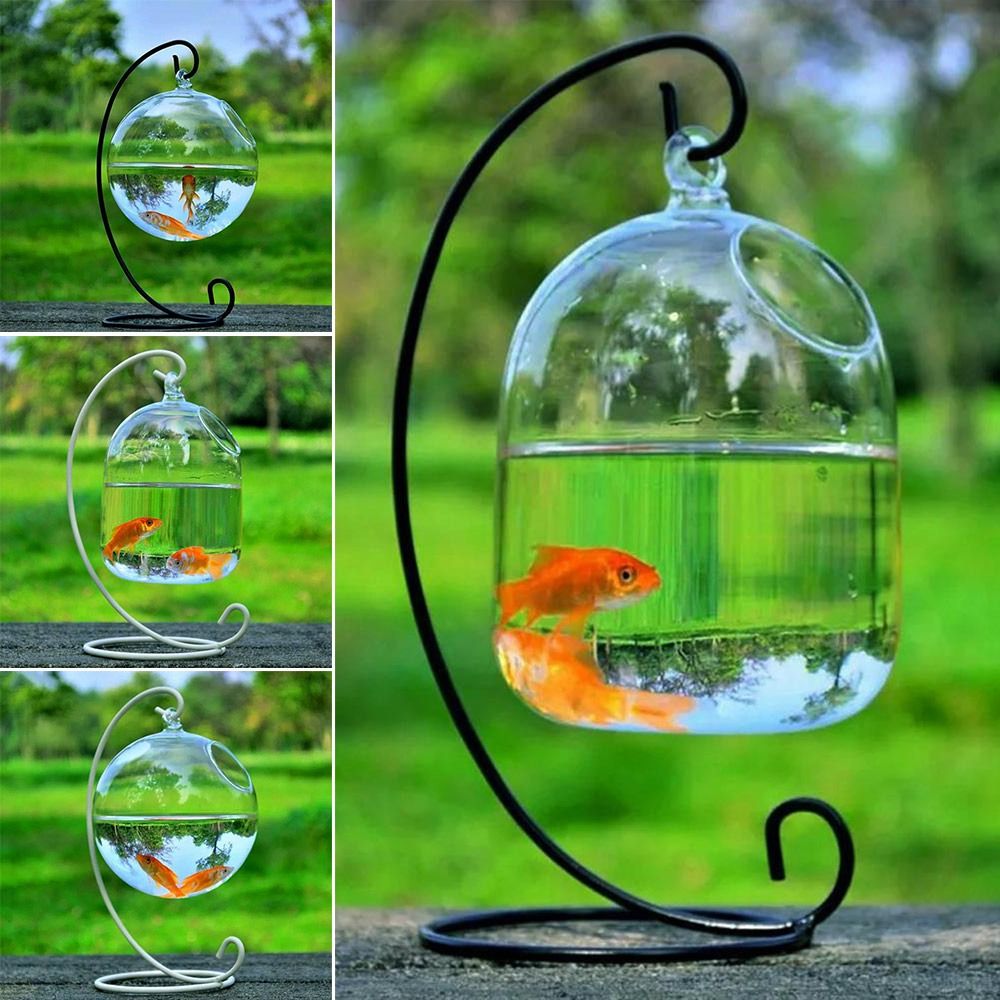 Aquarium Fish Background - Decoración de Acuario para Colgar en