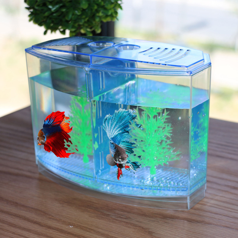 Aquarium Fish Keeping - Juguete novedoso y divertido, caja de