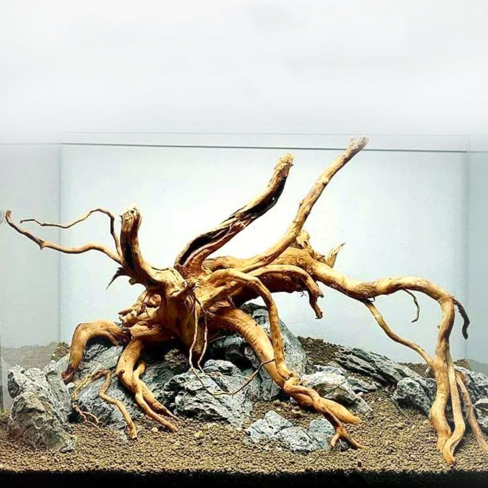 Aquarium Fish Background - Tronco de Madera Natural para Acuario
