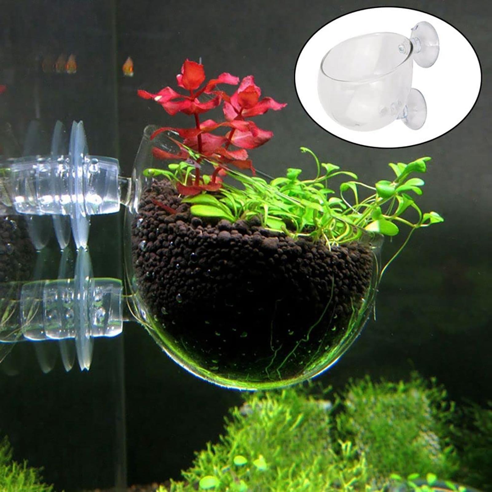 Aquarium Fish Pot - Maceta para plantas acuáticas, macetero de