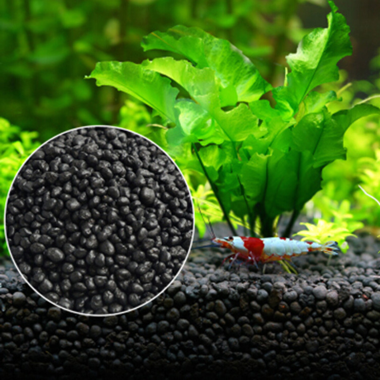 Aquarium Fish Background - Semillas de plantas de Acuario, sustrato