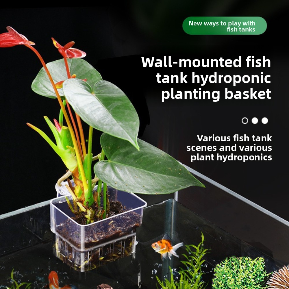 Aquarium Fish Pot - Cesta de Cultivo Hidropónico para Acuario,