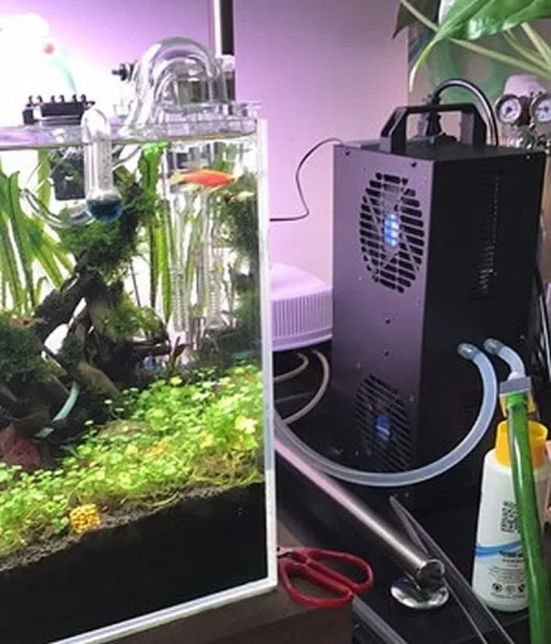 Refrigerador Semiconductor aju - Aquarium Fish Small reseña y precio
