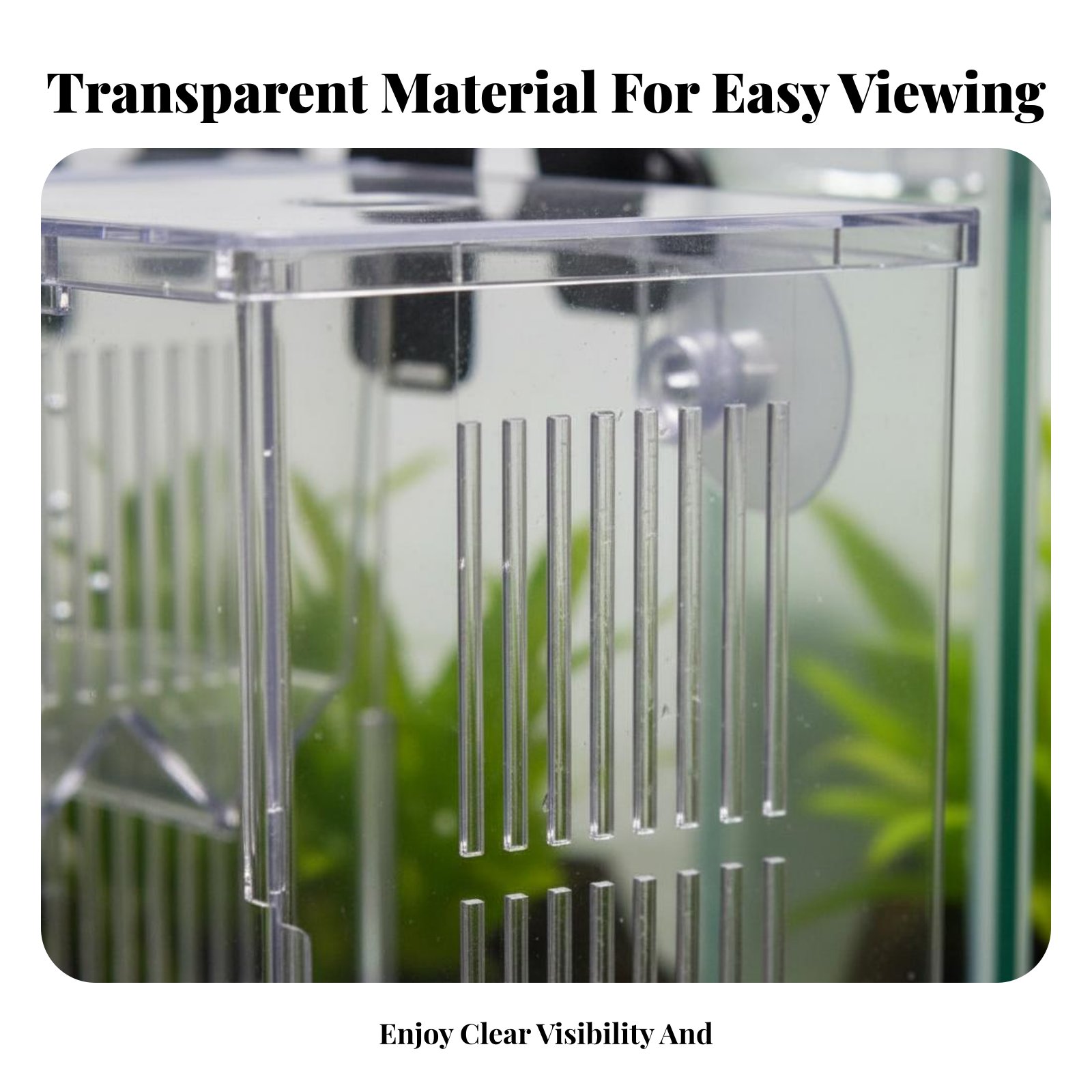 Caja de Cría para Hábitat Acuá - Aquarium Fish Tank reseña y precio