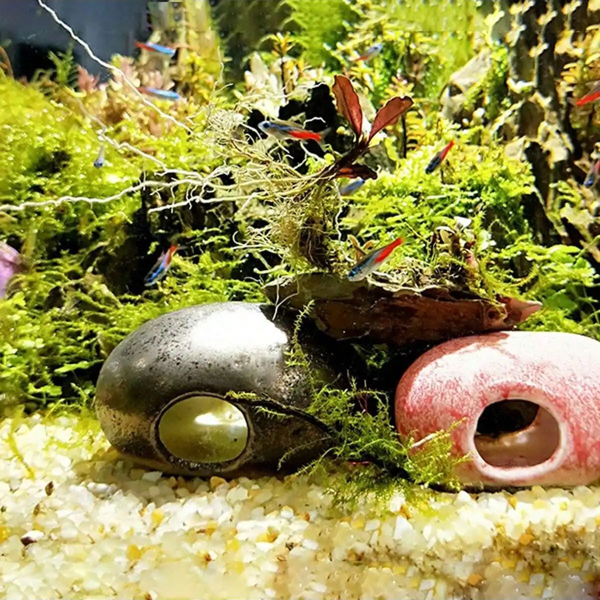 1 unidad-250g de cristales nat - Aquarium Fish Pot reseña y precio