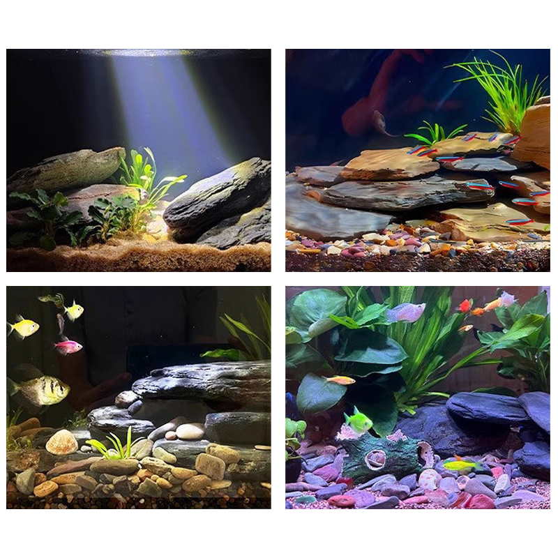 Kit de piedras para paisajismo - Aquarium Fish House reseña y precio