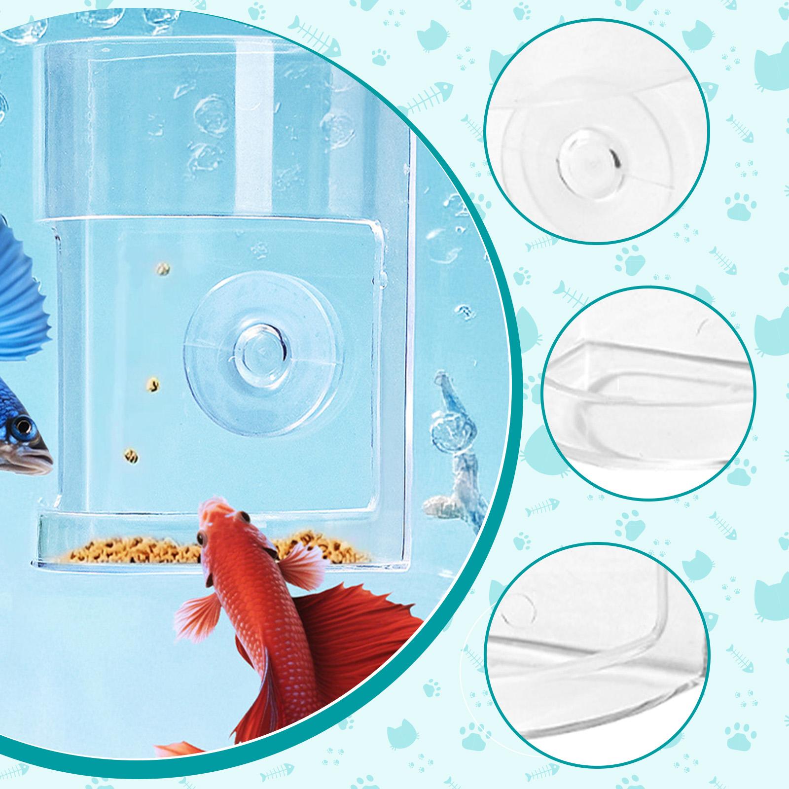 Comedero para peceras de PS tr - Aquarium Fish Keeping reseña y precio