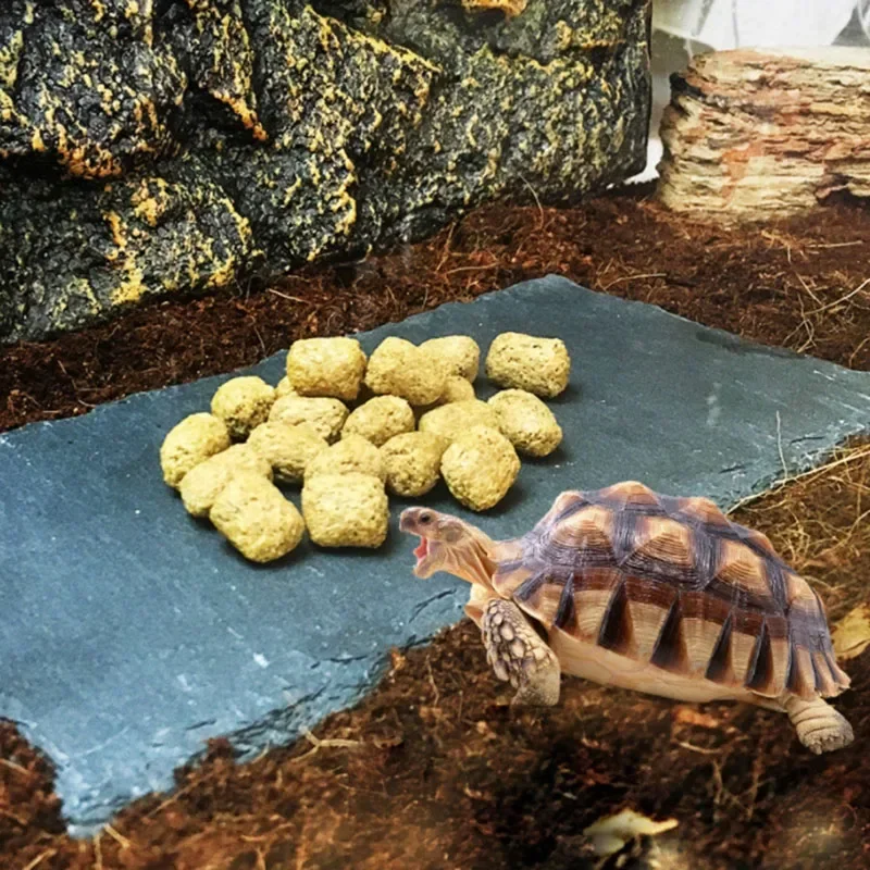 Cuenco alimentador de reptiles - Aquarium Fish Pot reseña y precio