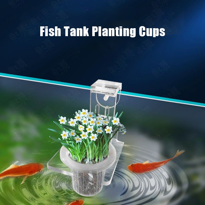 Tazas para plantar pecera, ces - Aquarium Fish Pot reseña y precio