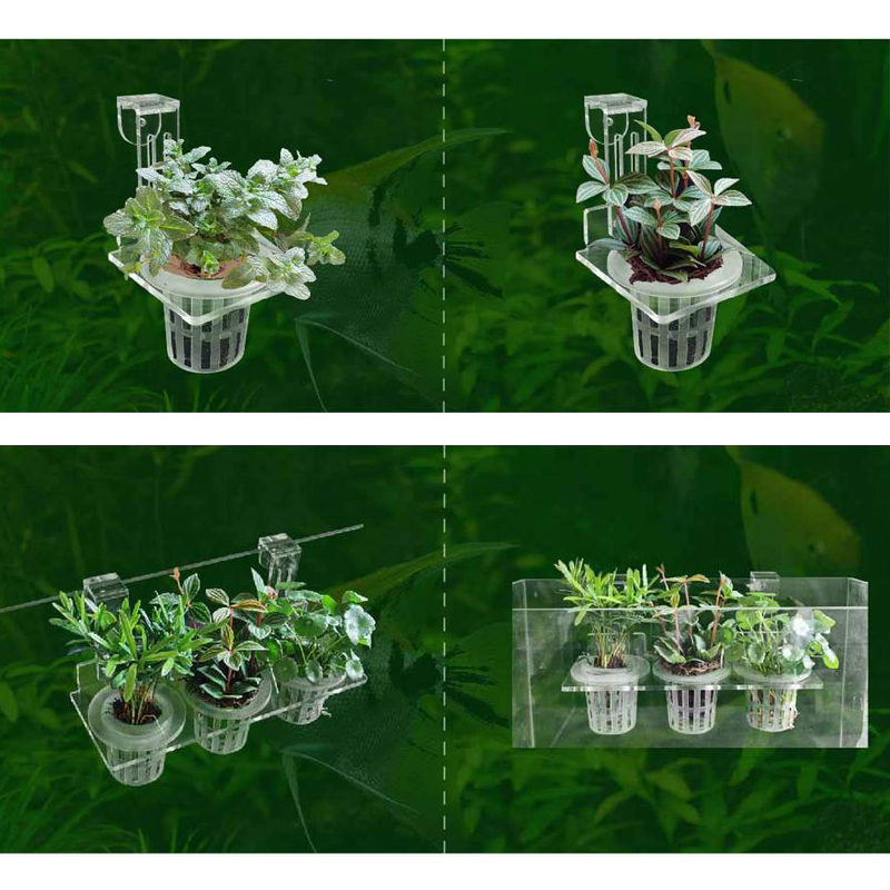 Tazas para plantar pecera, ces - Aquarium Fish Pot reseña y precio