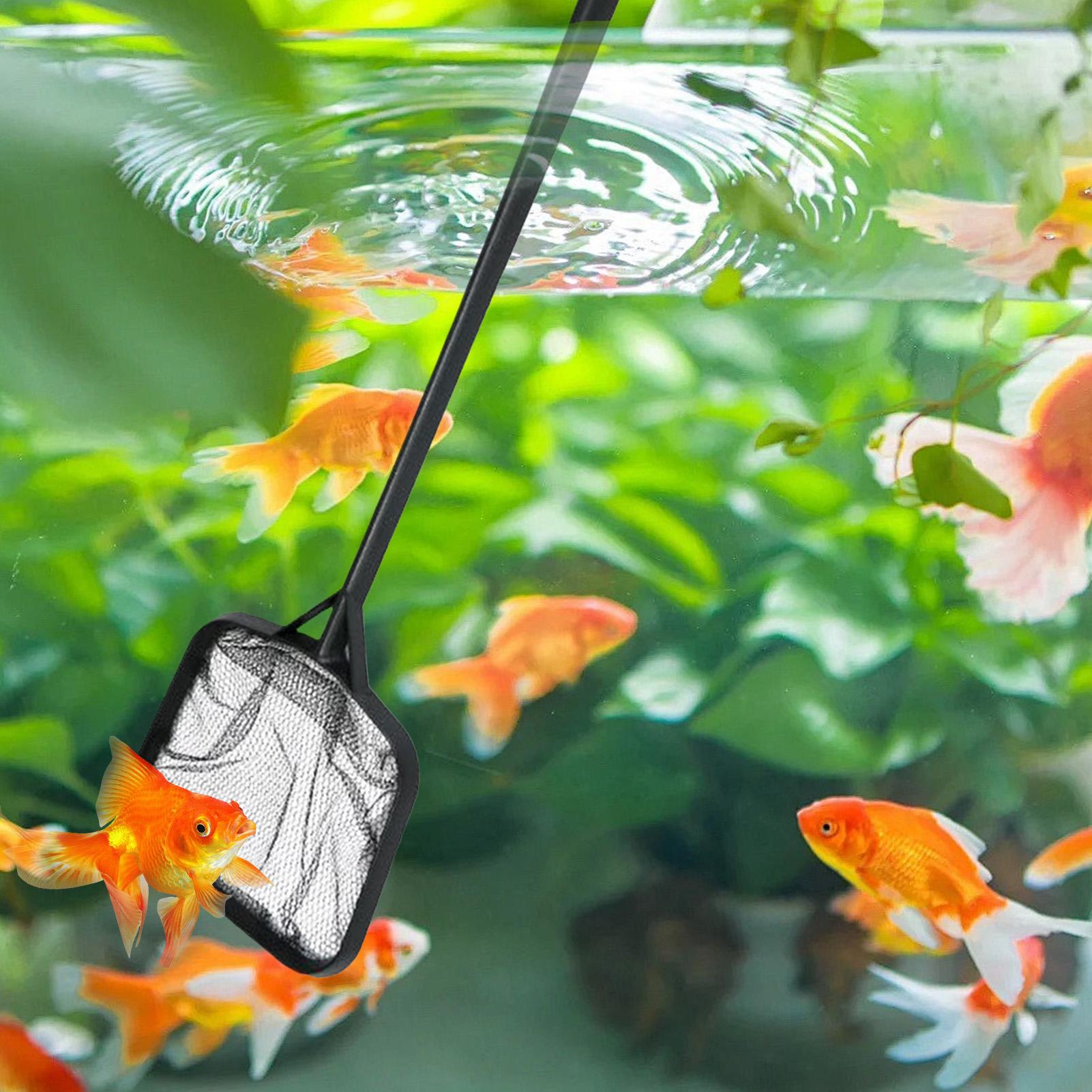 Redes de limpieza para piscina - Aquarium Fish House reseña y precio