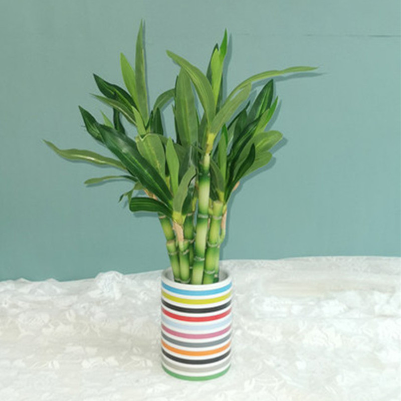Nuevo 40cm rFtificial Lucky Ba - Aquarium Fish Pot reseña y precio