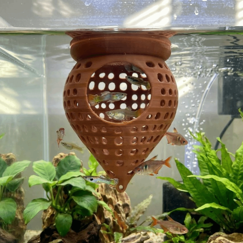 Hamaca flotante impresa en 3D  - Aquarium Fish Hideout reseña y precio