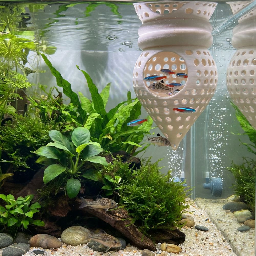 Hamaca flotante impresa en 3D  - Aquarium Fish Hideout reseña y precio