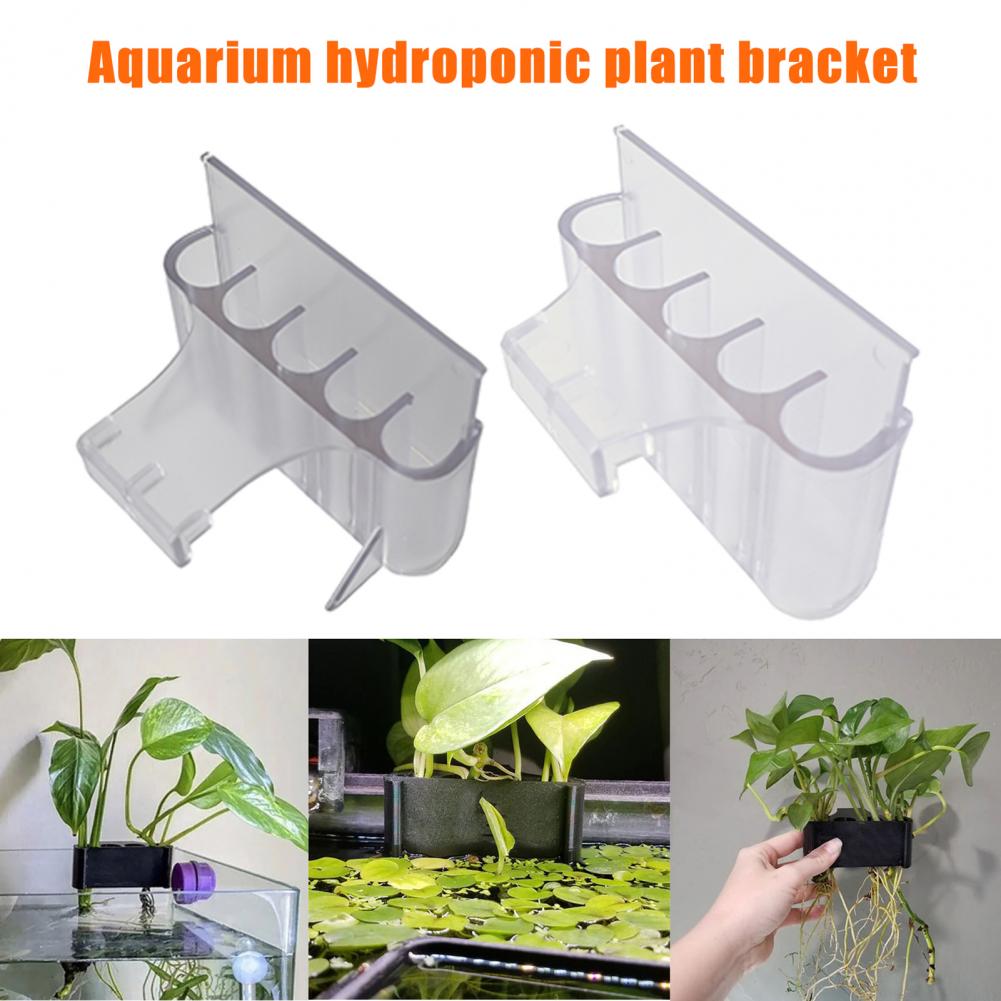 Soporte para plantas de acuari - Aquarium Fish Pot reseña y precio