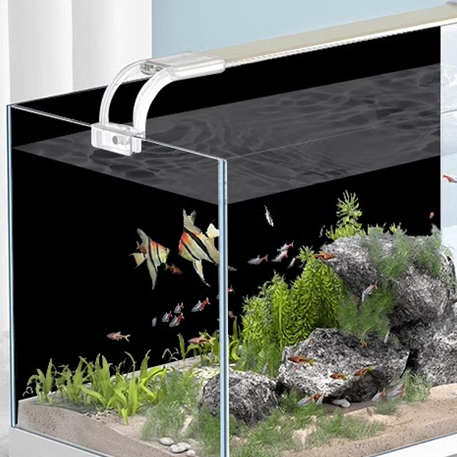 Fondo de Acuario Negro, Vinilo - Aquarium Fish Background reseña y precio