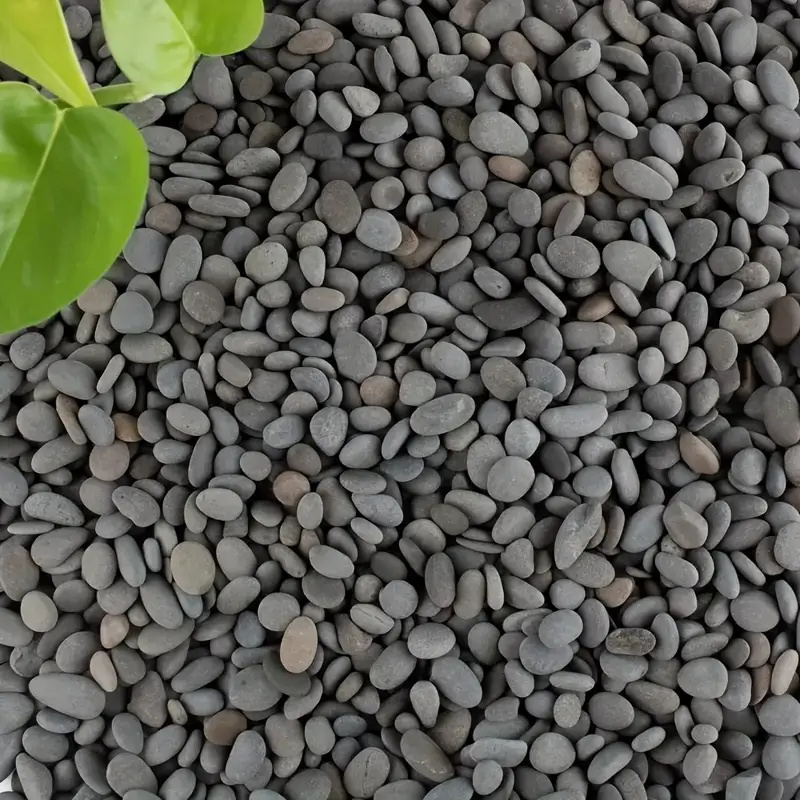 20 piezas de rocas de río natu - Aquarium Fish House reseña y precio