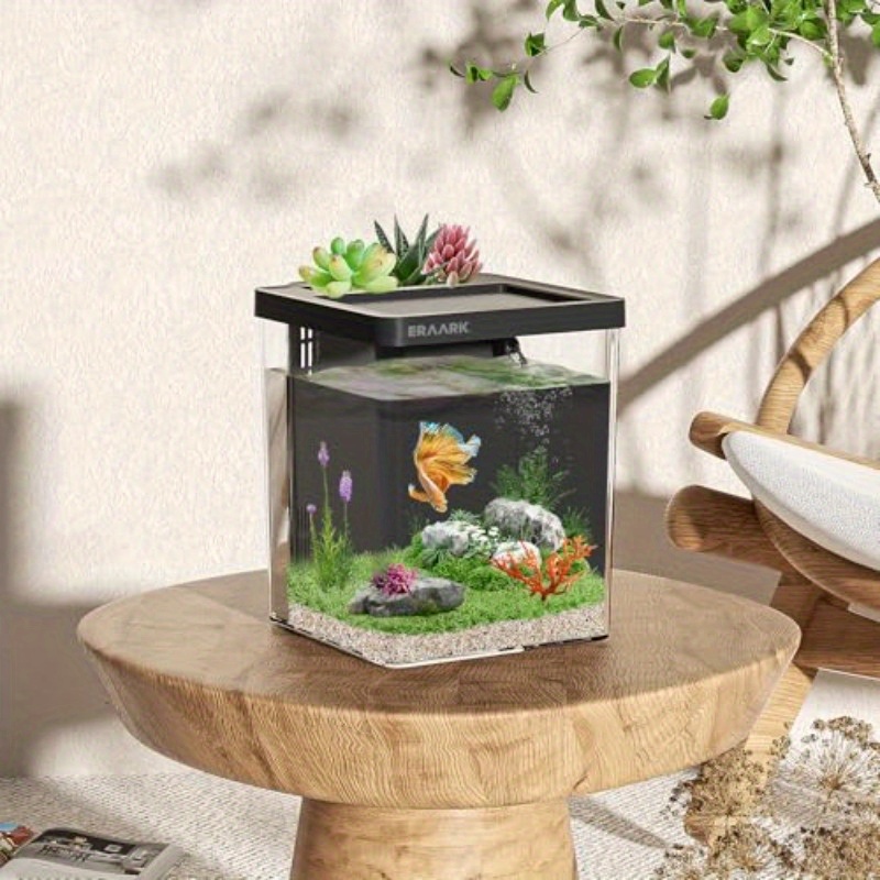 Acuario de escritorio para ofi - Aquarium Fish Keeping reseña y precio