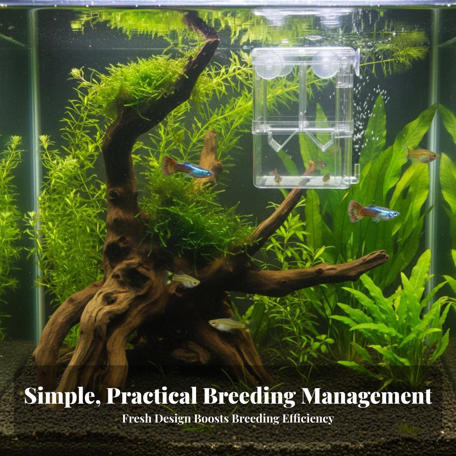 Tanque de Cría de Doble Capa p - Aquarium Fish Tank reseña y precio
