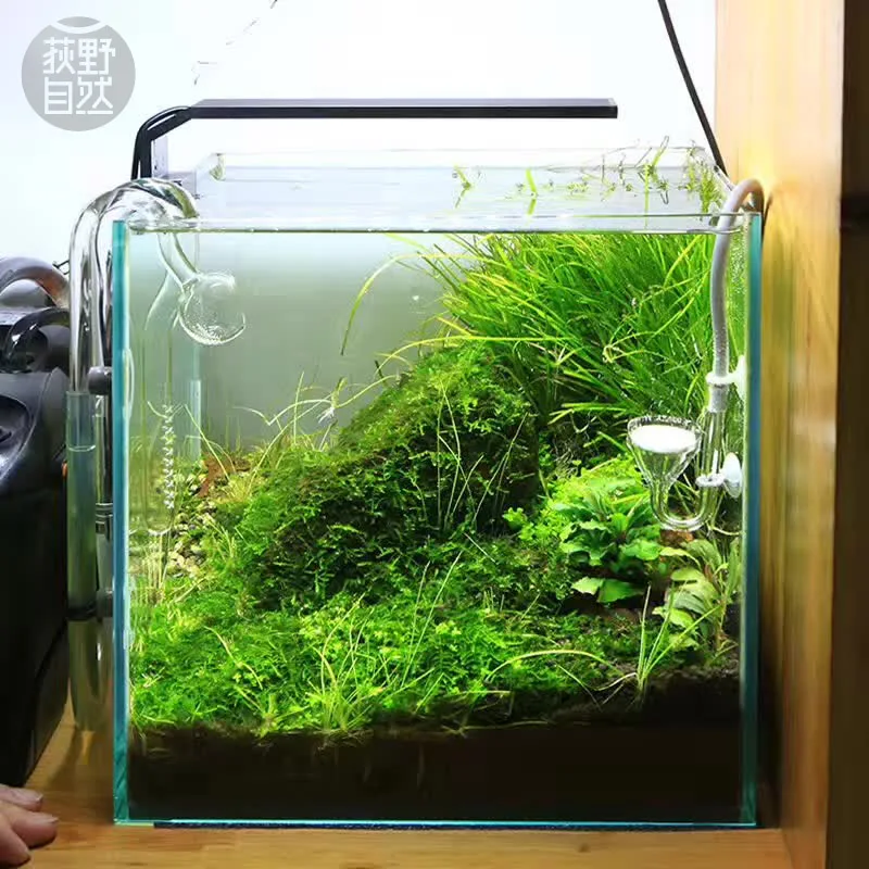 Chihiros Serie C Planta estilo - Aquarium Fish Background reseña y precio