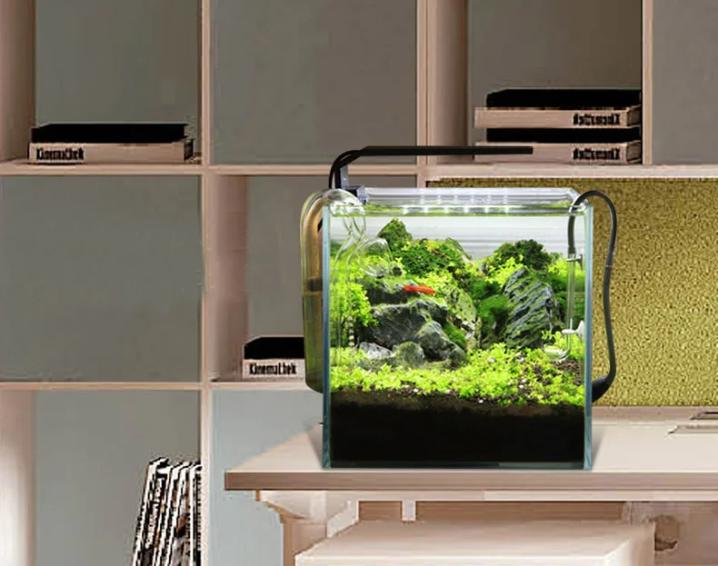 Chihiros Serie C Planta estilo - Aquarium Fish Background reseña y precio
