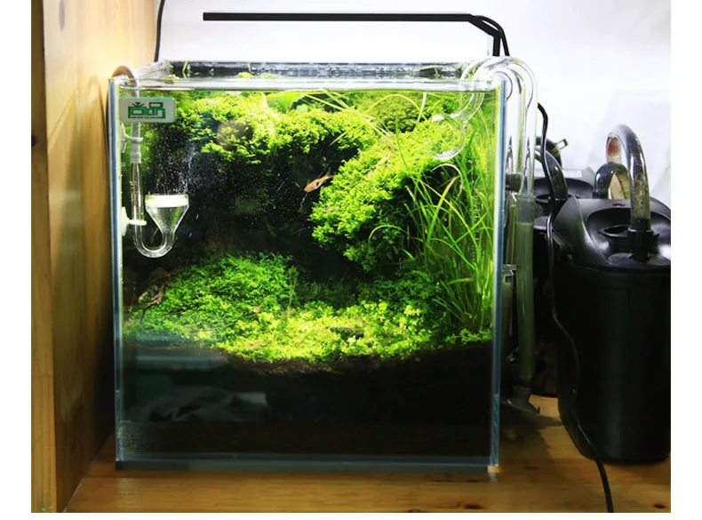 Chihiros Serie C Planta estilo - Aquarium Fish Background reseña y precio