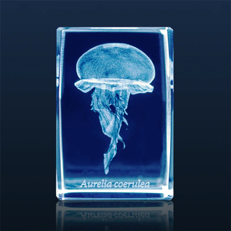 Figura de acuario de medusas G - Aquarium Fish Japan reseña y precio
