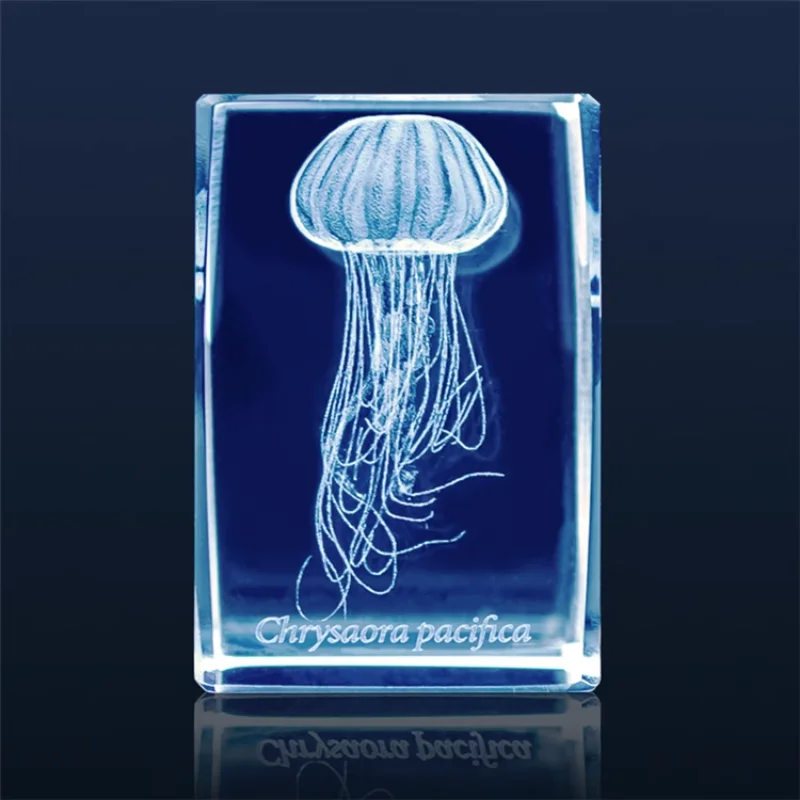 Figura de acuario de medusas G - Aquarium Fish Japan reseña y precio