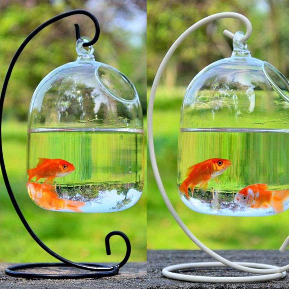 Decoración de Acuario para Col - Aquarium Fish Background reseña y precio