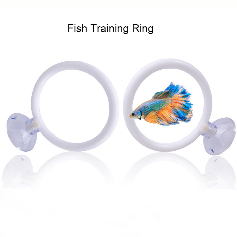 1 unidad de juego de aros de e - Aquarium Fish Hideout reseña y precio