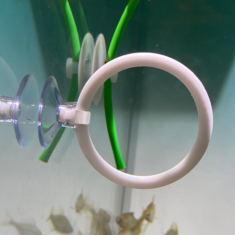 1 unidad de juego de aros de e - Aquarium Fish Hideout reseña y precio