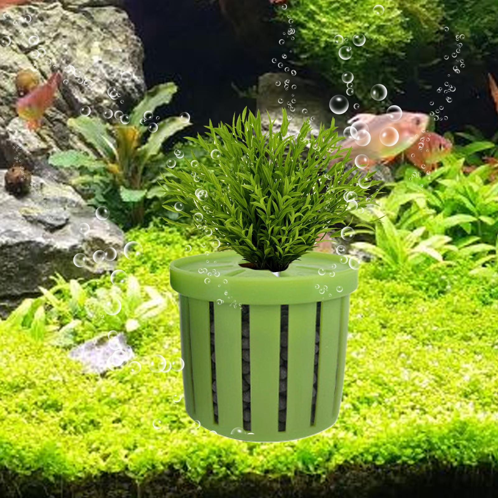 Maceta para acuario de 4 pieza - Aquarium Fish Pot reseña y precio