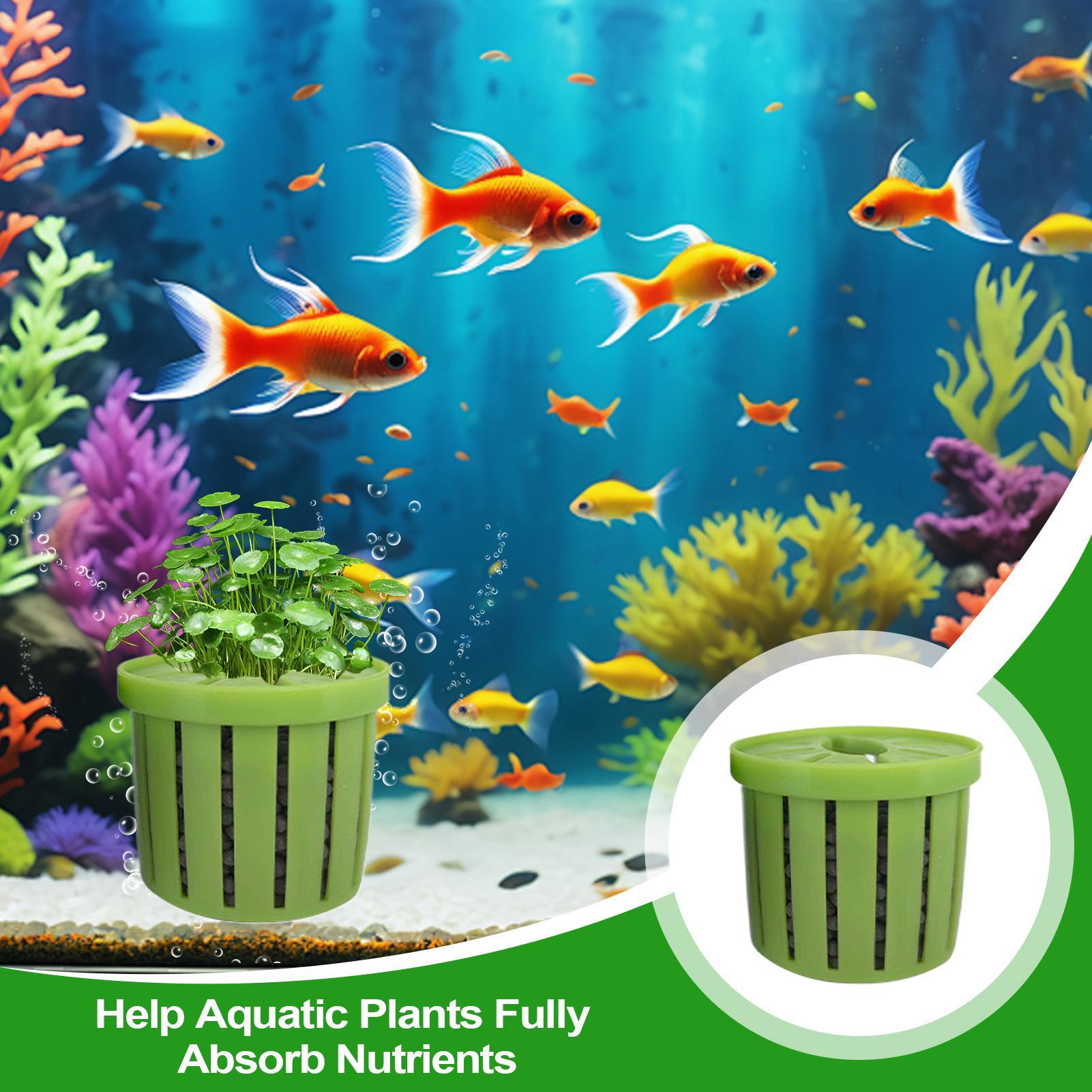 Maceta para acuario de 4 pieza - Aquarium Fish Pot reseña y precio