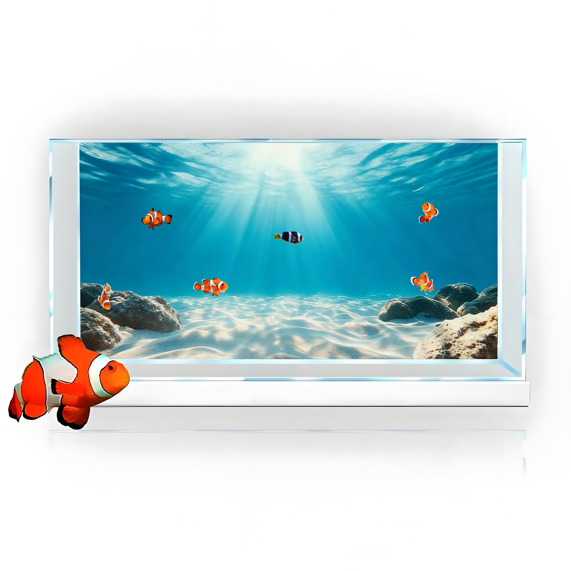 Pintura de Fondo para Acuario  - Aquarium Fish Background reseña y precio