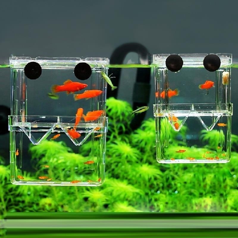 Acuario de peces multifunciona - Aquarium Fish Background reseña y precio