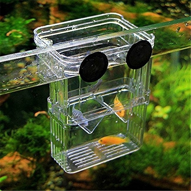 Acuario de peces multifunciona - Aquarium Fish Background reseña y precio