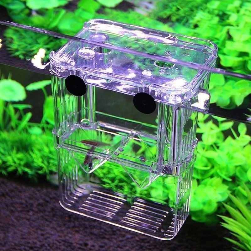 Acuario de peces multifunciona - Aquarium Fish Background reseña y precio