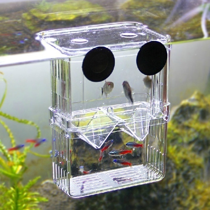 Acuario de peces multifunciona - Aquarium Fish Background reseña y precio