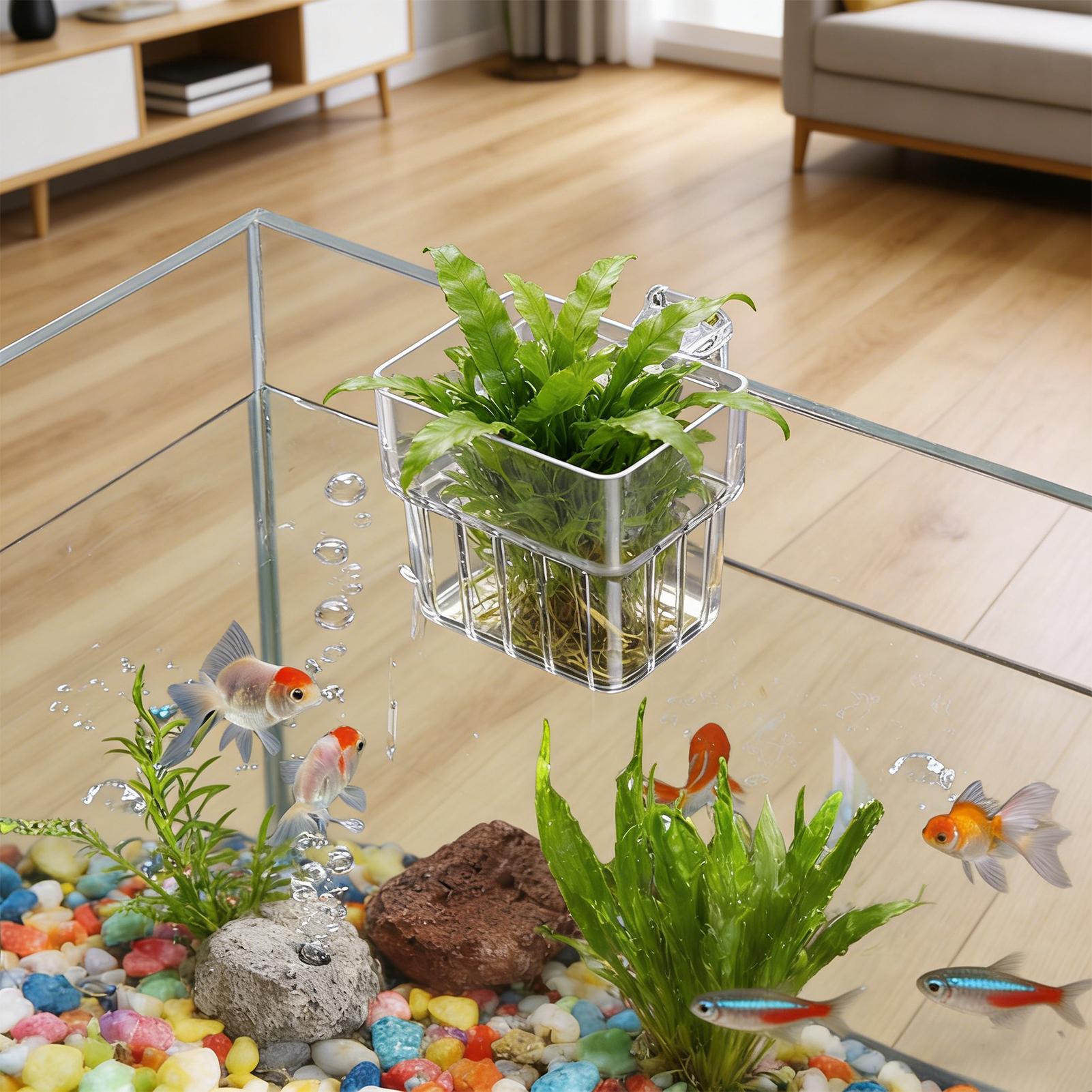 Maceta Transparente Colgante p - Aquarium Fish Pot reseña y precio