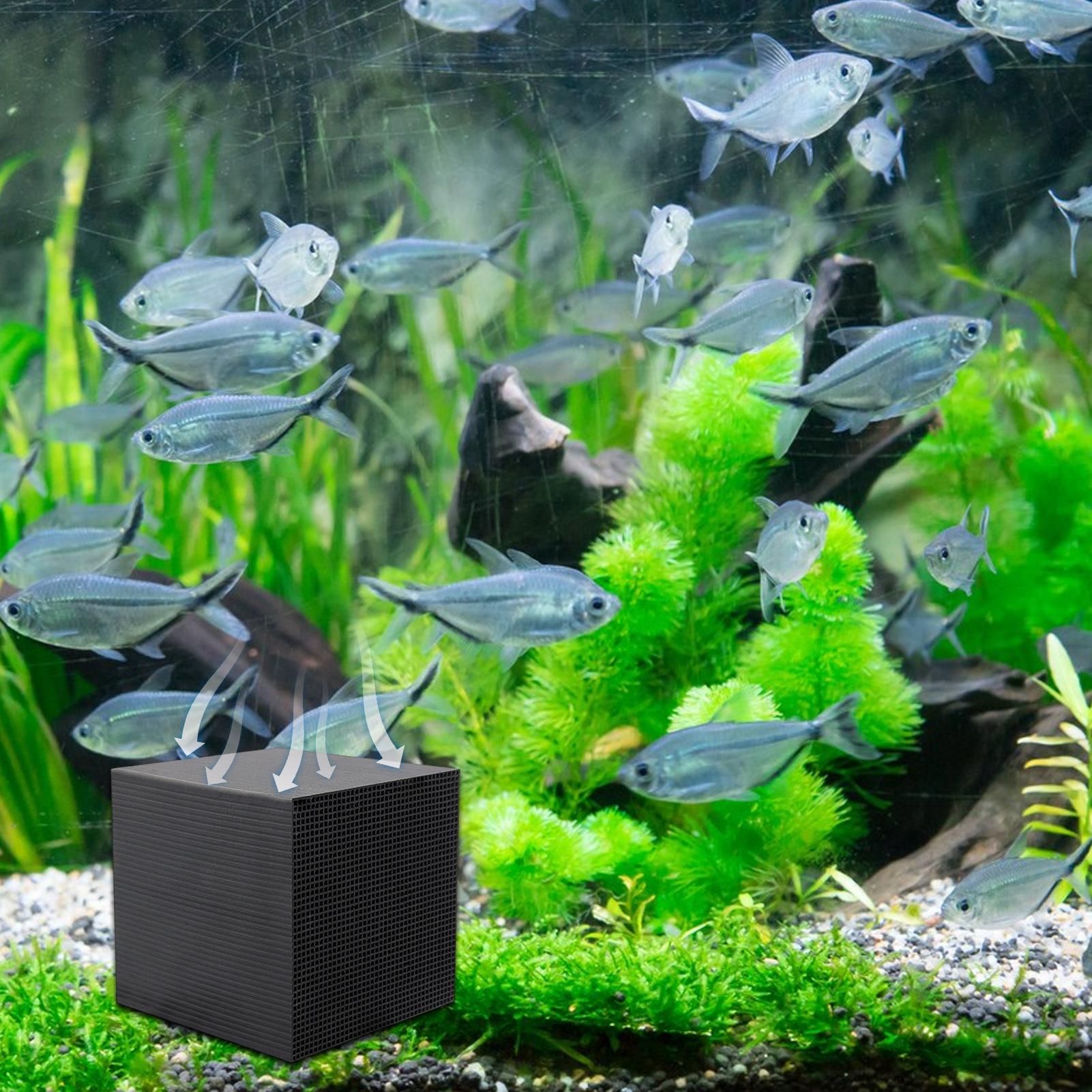 Cubo purificador de agua para  - Aquarium Fish Background reseña y precio
