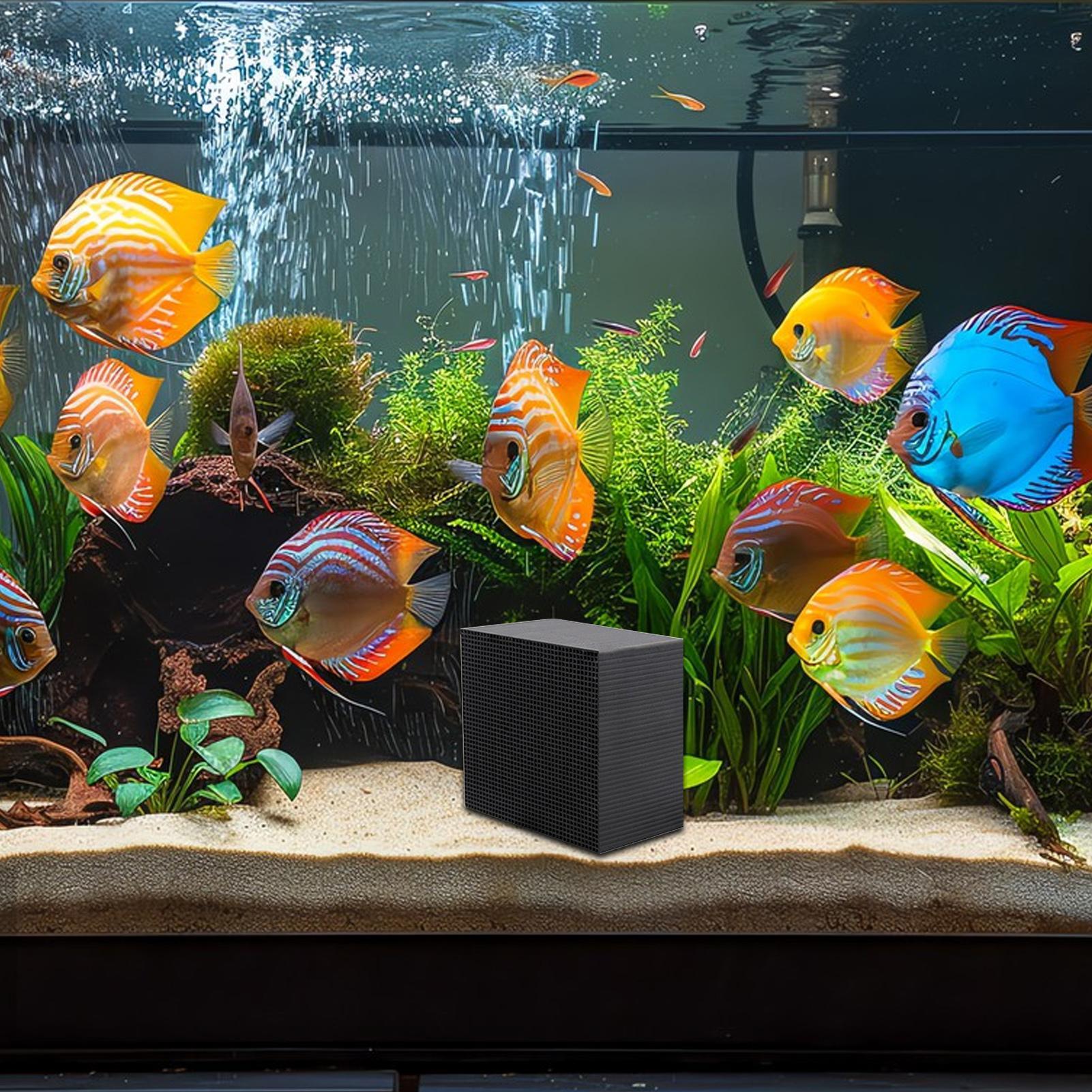 Cubo purificador de agua para  - Aquarium Fish Background reseña y precio
