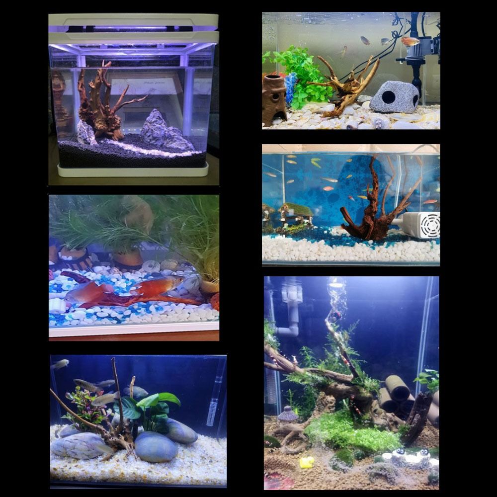 Tronco de Madera Natural para  - Aquarium Fish Background reseña y precio