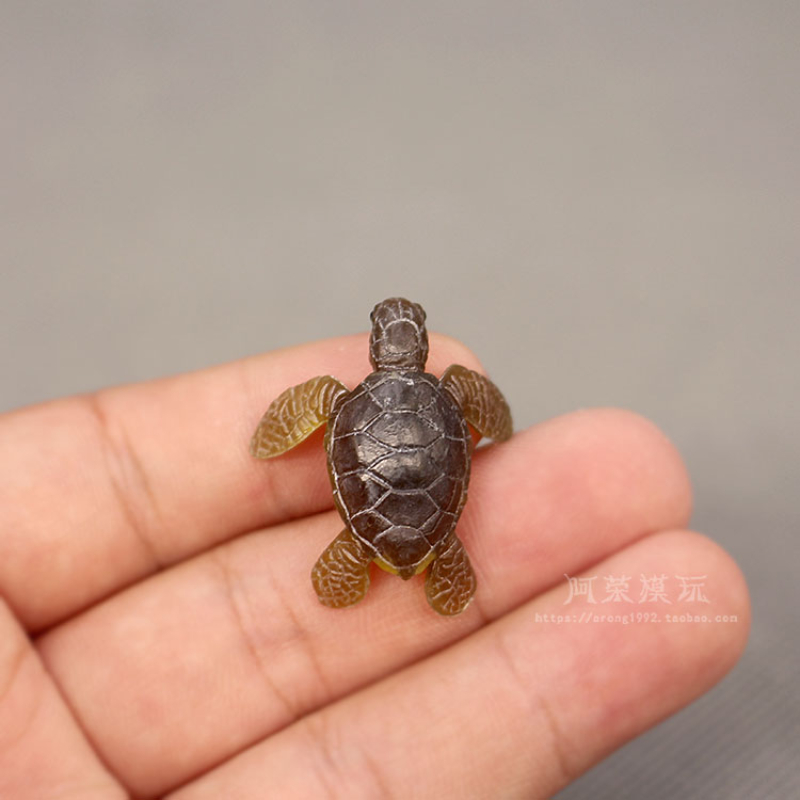 Modelo de tortuga marina, ador - Aquarium Fish Japan reseña y precio