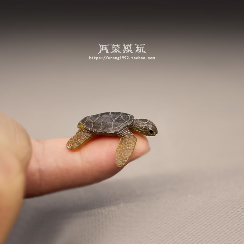 Modelo de tortuga marina, ador - Aquarium Fish Japan reseña y precio