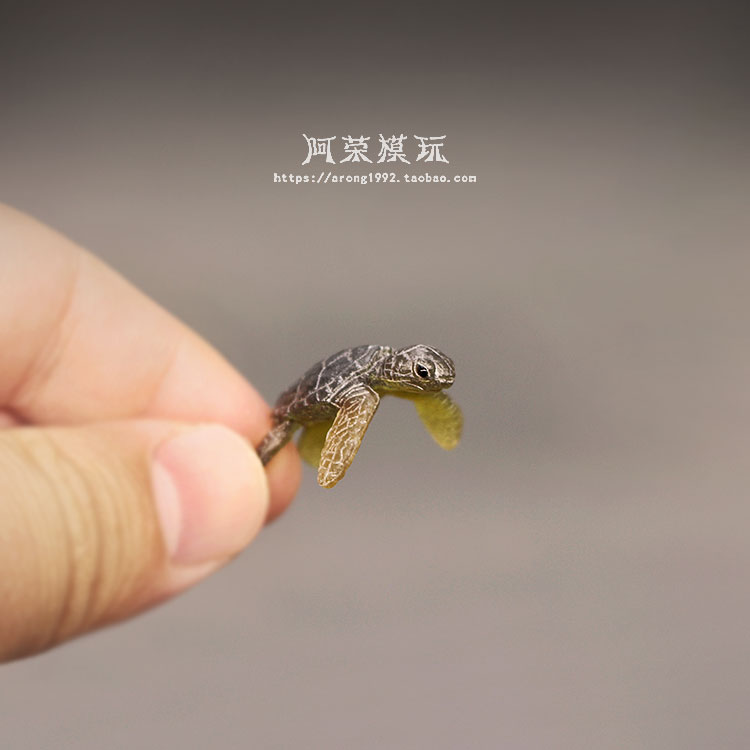 Modelo de tortuga marina, ador - Aquarium Fish Japan reseña y precio