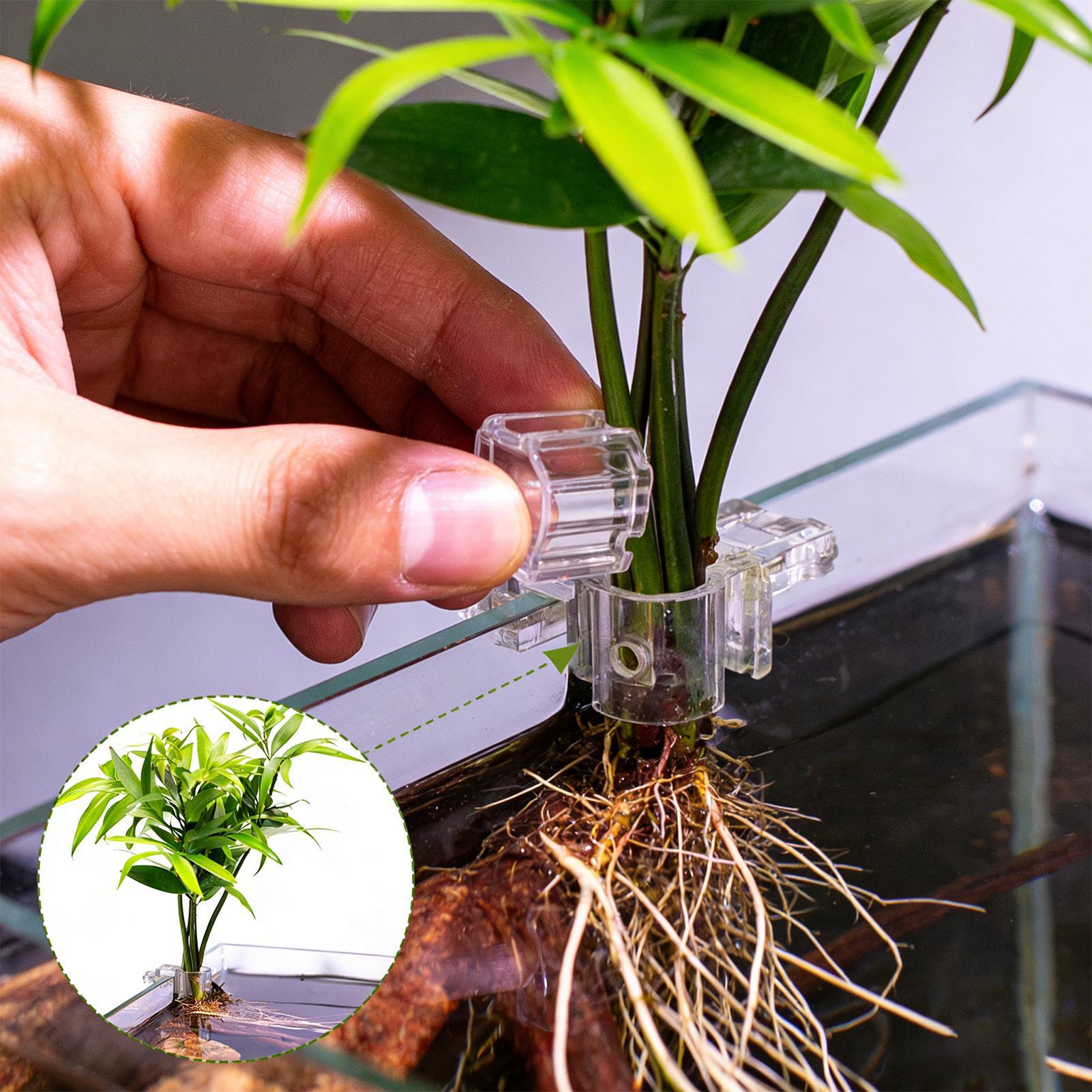 Mini maceta para pecera, 6 uds - Aquarium Fish Pot reseña y precio