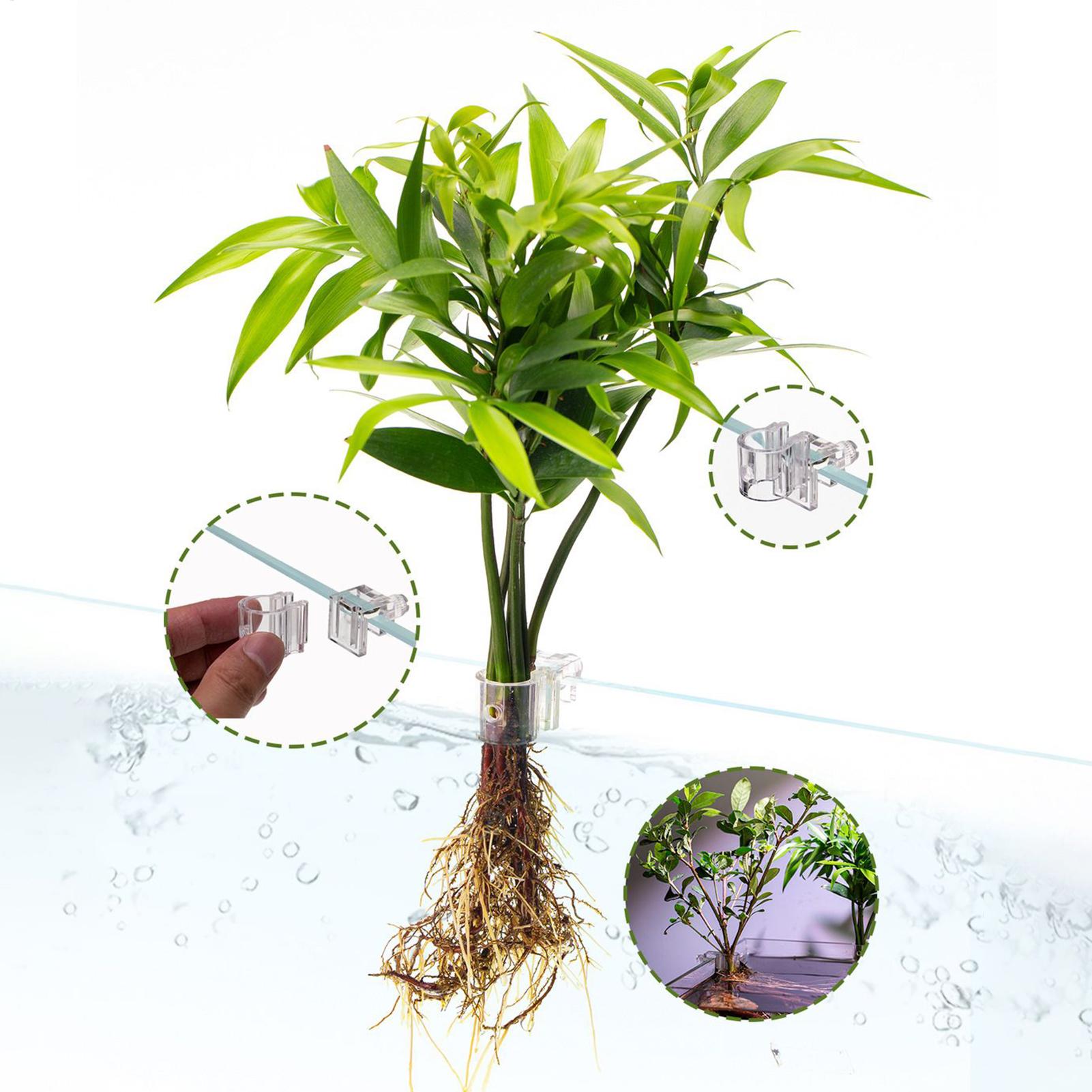 Mini maceta para pecera, 6 uds - Aquarium Fish Pot reseña y precio