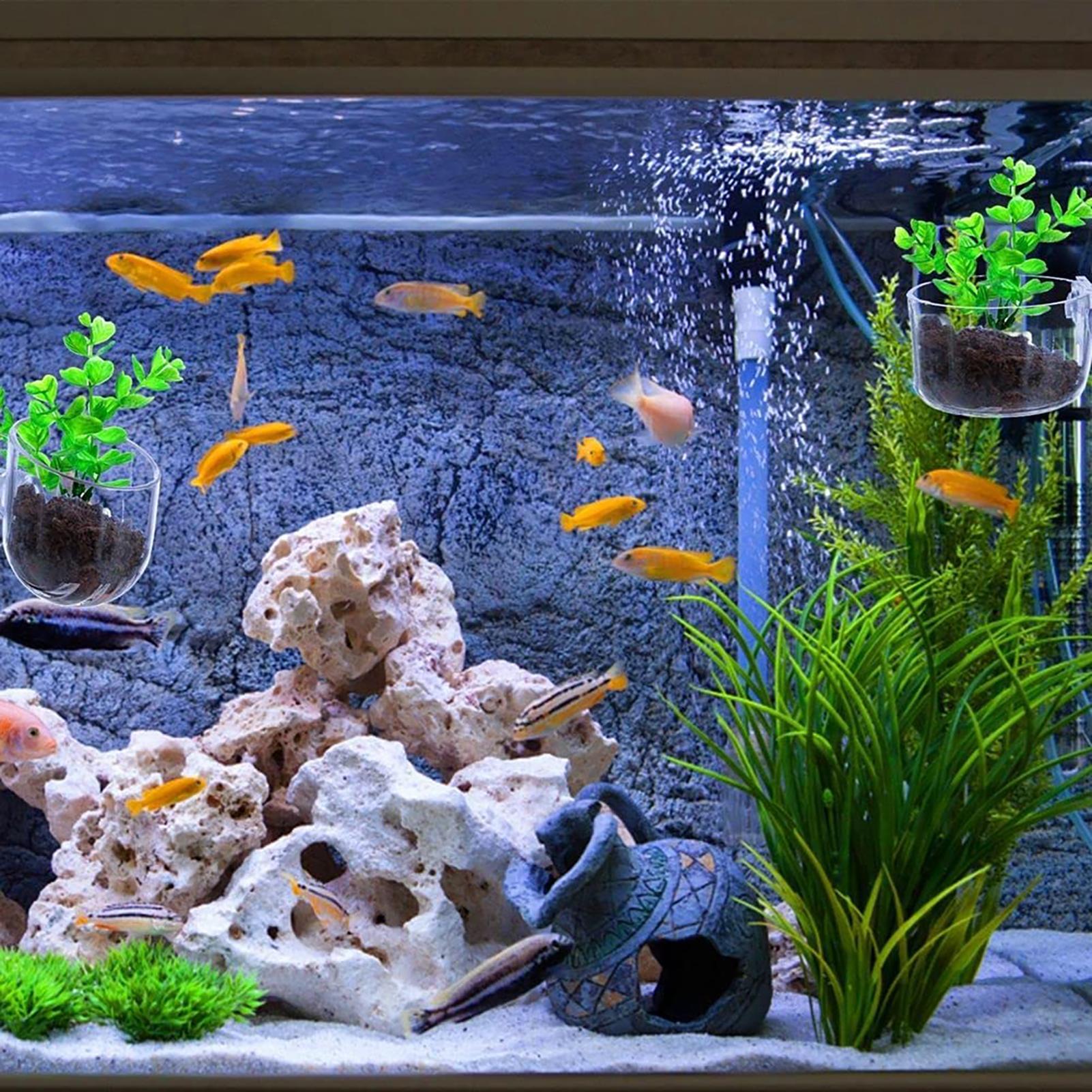 Maceta para plantas acuáticas, - Aquarium Fish Pot reseña y precio