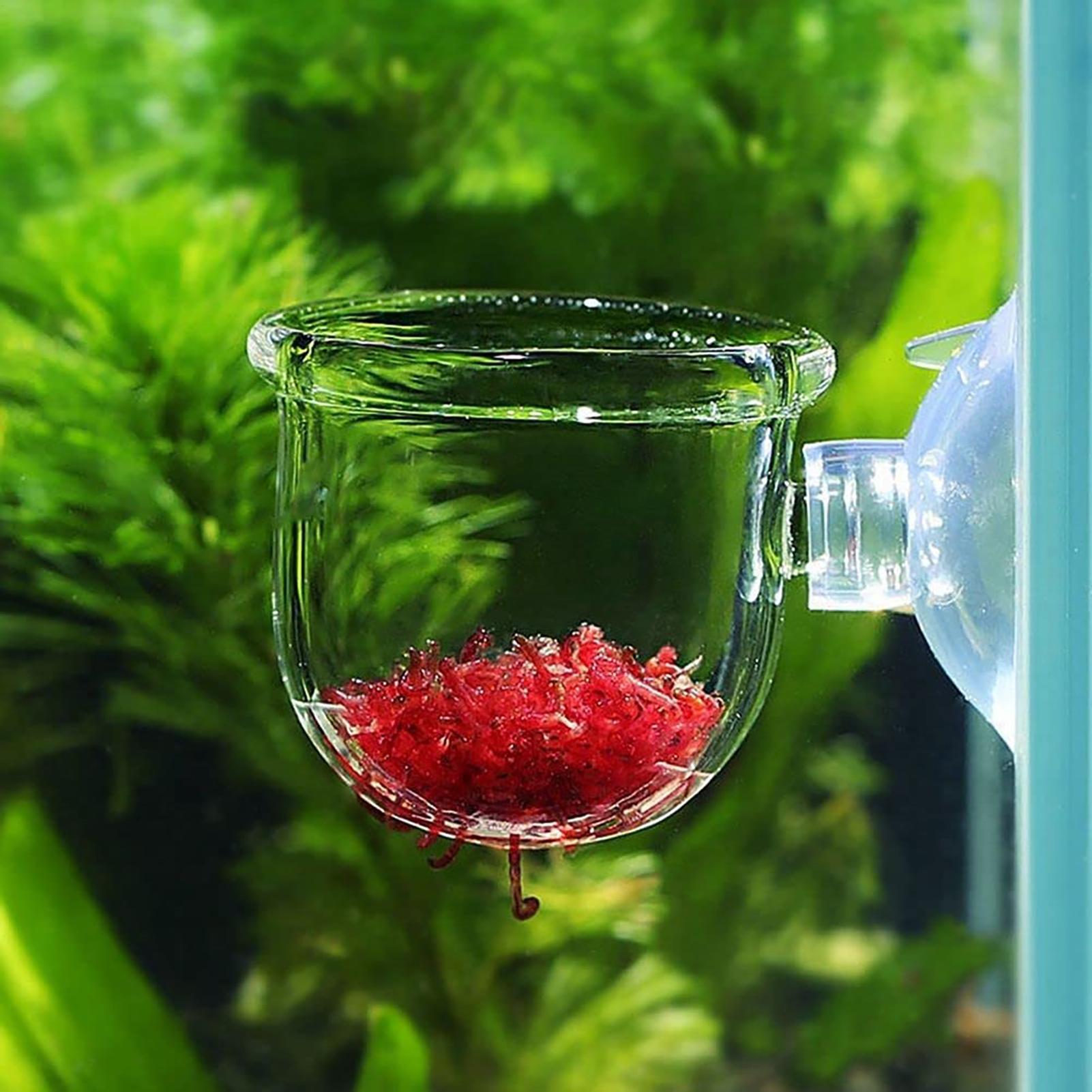 Maceta para plantas acuáticas, - Aquarium Fish Pot reseña y precio
